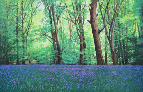 Bluebell Clearing