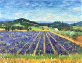 Lavender Field, Sault Provence